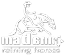 Madama Reining Horses